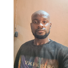 David Oladeleishola-Freelancer in Ilesha,Nigeria