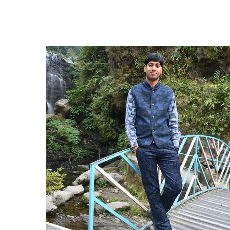 Shekhar Kushwah-Freelancer in Ambah,India