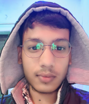 Nikhil Gangwariya-Freelancer in Jaipur,India