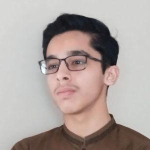 Mohammad Safwaan-Freelancer in Karachi,Pakistan