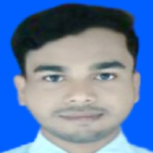 Rana Ahmed-Freelancer in ,Bangladesh