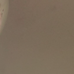 Akhila Menon-Freelancer in Palakkad,India