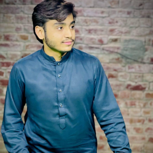 Ali Raza-Freelancer in Faisalabad,Pakistan