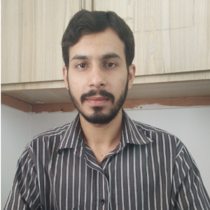 Hamid-Freelancer in Chiniot,Pakistan