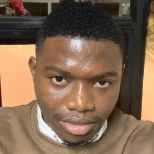 Olumide Adewole-Freelancer in Lagos,Nigeria