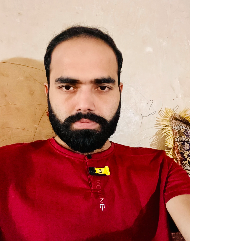 Abid Hussain-Freelancer in Sahiwal,Pakistan