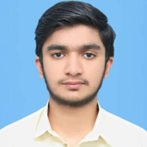 Zain Chaudhary-Freelancer in Faisalabad,Pakistan