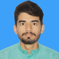 Abrar Hussain-Freelancer in Rahim Yar Khan,Pakistan