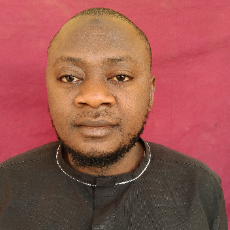 Saibu Muideen Olawale-Freelancer in Lagos,Nigeria