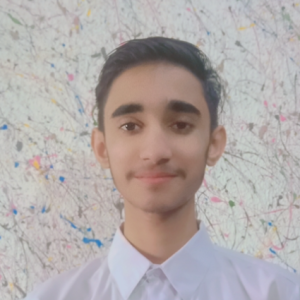 Hamza Ahmed-Freelancer in Karachi,Pakistan