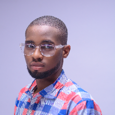 Ife Oluwasegun Stephen-Freelancer in Akure,Nigeria