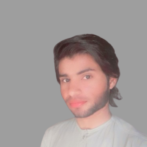 Ali Hasnain-Freelancer in Bahawal Nagar,Pakistan