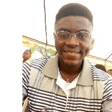 Tobi Emmanuel Faboyede-Freelancer in Lagos,Nigeria