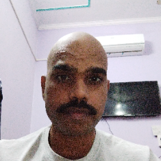 Vivek Pratap Singh-Freelancer in New Delhi,India