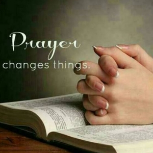 Ruvimbo Denhere-Freelancer in ,Zimbabwe