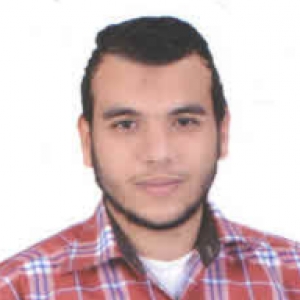 Mohamed Atef-Freelancer in Cairo,Egypt