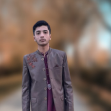 Ali Abbas-Freelancer in Chiniot,Pakistan