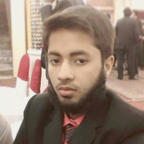 Ahmad Hannan-Freelancer in Sharakpur,Pakistan