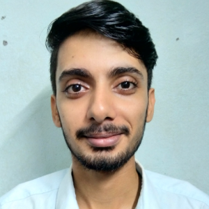 Ritik Raushan-Freelancer in Patna,India