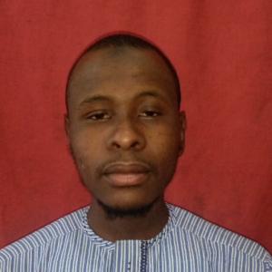 Abdulhaq Abubakar-Freelancer in Kano,Nigeria