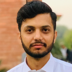 Tabraiz Hasan-Freelancer in Islamabad,Pakistan
