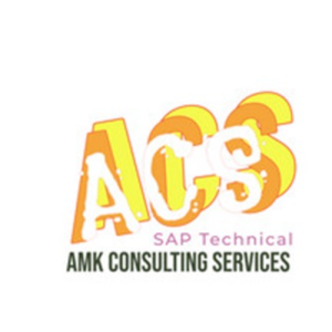AMK Consulting Services-Freelancer in Pune,India