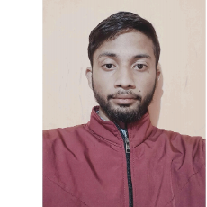 Tazmol Hussain-Freelancer in Lakhimpur,India