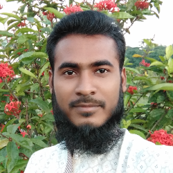 Rafikul Islam-Freelancer in Pirojpur,Bangladesh