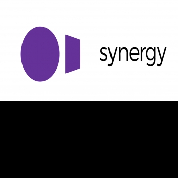 01 Synergy-Freelancer in Delhi,India