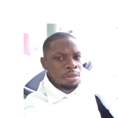 Ndubisi Nelson-Freelancer in Lagos,Nigeria