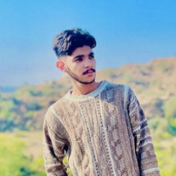 Syed Ali-Freelancer in Gujranwala,Pakistan