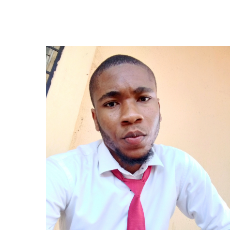 Franklin Onyenechere-Freelancer in Imo State,Nigeria