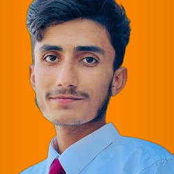 Muhammad Noman Raza-Freelancer in Rahim Yar Khan,Pakistan