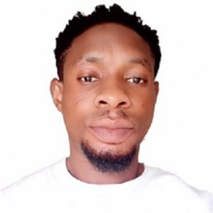 Ahmed Jerry-Freelancer in Abuja,Nigeria