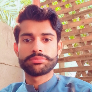 Sajid Ali-Freelancer in Ghotki,Pakistan
