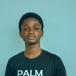 Peter Ibikunle-Freelancer in Lagos,Nigeria
