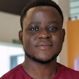 Wilbert Boadzo-Freelancer in Accra,Ghana