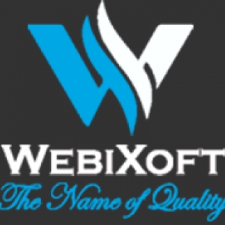 Webixoft Solutions-Freelancer in Lahore,Pakistan