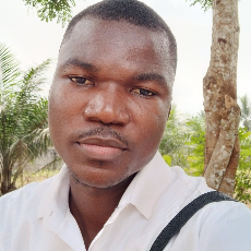 Bolarinwa Osunbanwo-Freelancer in Lagos,Nigeria