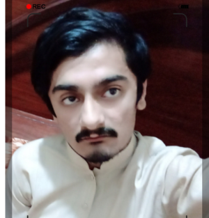 Sufyan Qayyum Rajpoot-Freelancer in Multan,Pakistan