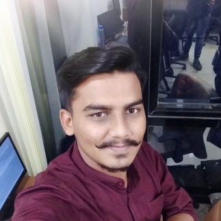Vishal Prajapati-Freelancer in Ahmedabad,India