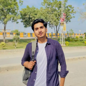 Shazil Shaikh-Freelancer in sukkur,Pakistan