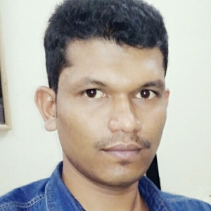 Pravin B.-Freelancer in Pune,India