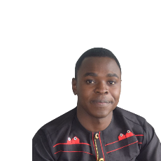 Ibrahim Mbursa-Freelancer in Biu,Nigeria