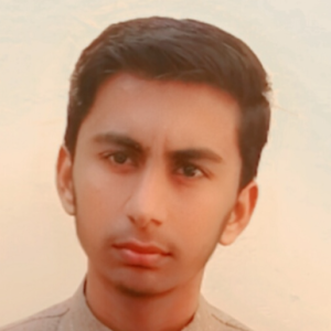 Muhammadali -Freelancer in ,Pakistan