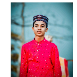 Sahin Mostafa-Freelancer in Cox's Bajar,Bangladesh