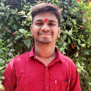 Rajan Prajapati-Freelancer in meerut,India