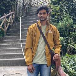 Bansil Patel-Freelancer in Surat,India