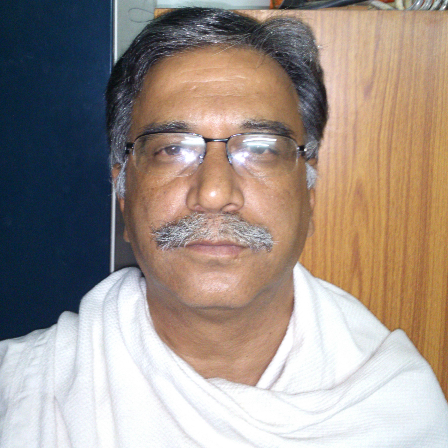 Sunil Chaphalkar-Freelancer in Pune,India