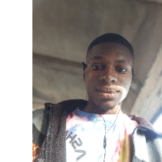 Martin's Nwagbara-Freelancer in Oyo,Nigeria